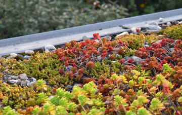 the cost of Craigs Upper green roof installation