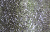 Craigs Upper fibreglass roof work