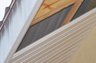 rated Craigs Upper soffit repair companies